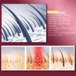 71HuF8PdyuL. AC SL1500