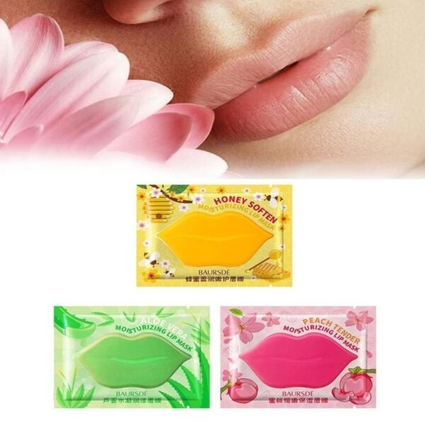 Baursde Moisturizing Lip Sheet Masks Wholesale Price in Karachi Massive PK 2