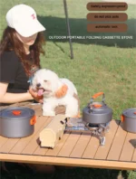 Saee0f56c3a284e818720d7577d4a64874