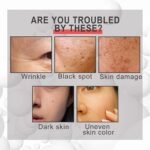 Untitled 1 08275e3b 839f 4c12 8b2d 6c3a9f4223ac