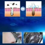 Untitled 1 6ae5d633 d018 46da ad64 a5f37fc35617