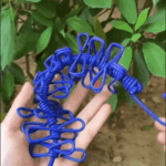 20231106 192517.gif