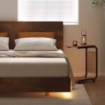 61lXaBduu4L. AC SL1024 .jpg