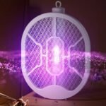 Untitled 1 Recovered296523.jpg