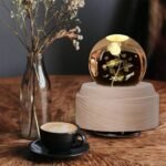 1 ebc12dec 67df 4120 ad96 12c9bef7623a.jpg