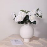 517vsw7fpEL. AC SL1024 .jpg