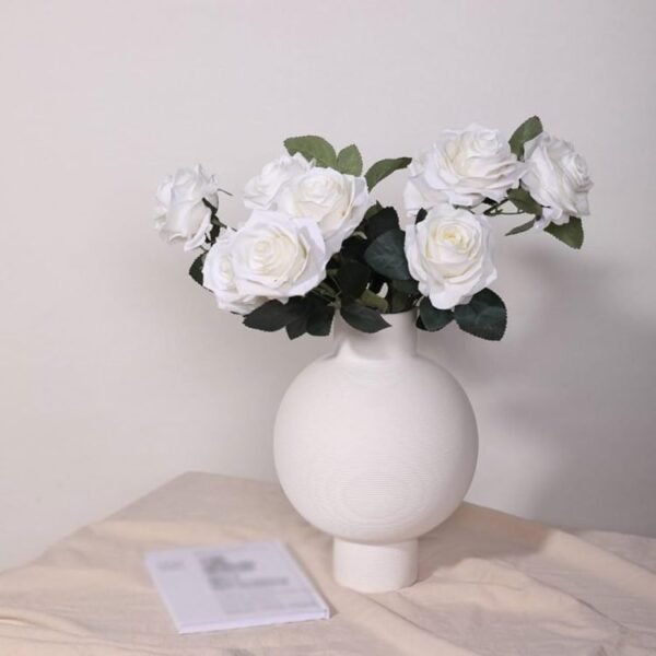 517vsw7fpEL. AC SL1024 .jpg