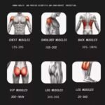 Untitled 5 d780a46d 2cd8 4868 b560 8779dcdbf4af 1.jpg