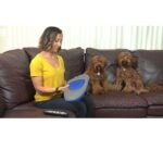 Untitled 8 d72f924a c11f 40e0 8888 0c3eb084b1dd 1.jpg