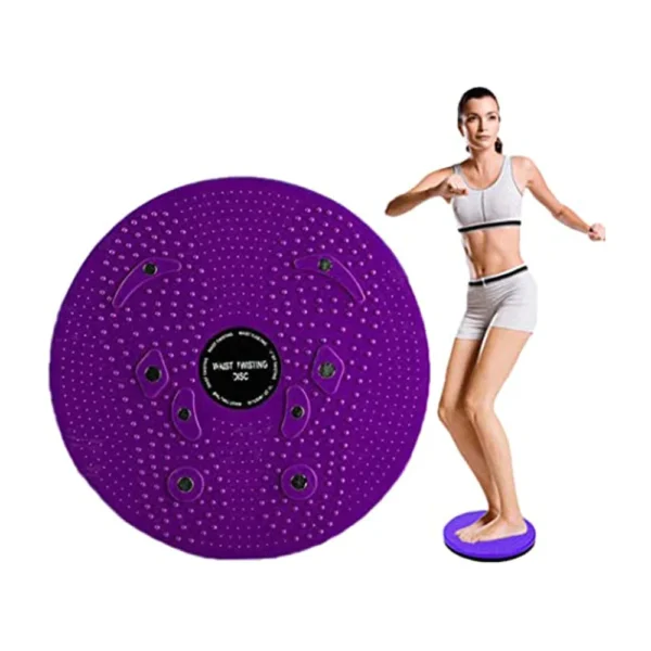 WaistTwistingDisc.webp