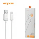 WopowLT 25DataCableForType C1m 1 ccc4fa5c 8d5a 4d69 8999 33dc2d9decee.webp