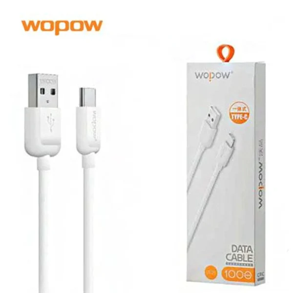 WopowLT 25DataCableForType C1m 1 ccc4fa5c 8d5a 4d69 8999 33dc2d9decee.webp