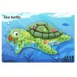 seaturtle 1.jpg