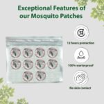 613L2ndYSXL. SL1200 .jpg