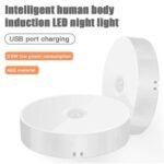LED Motion Sensor Wireless Body Induction Lamp Rechargeable Night Light Bedroom Washroom Lighting Decor Indoor Lights with USB Charging - Image 9